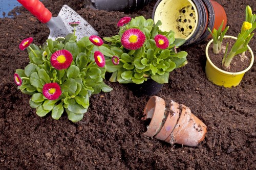 Gardening service terms and conditions introduction