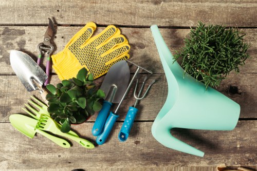 Healthy green lawn care in Stoke Newington garden