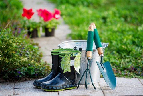 Patio cleaning in Stoke Newington on a moss-covered paved garden area