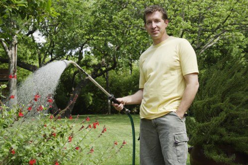 Pruning and hedge trimming services for Stoke Newington gardens
