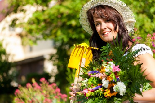 Seasonal lawn maintenance in a Stoke Newington outdoor space