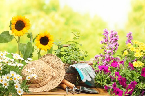 Seasonal garden upkeep with hedges and shrubs in Stoke Newington