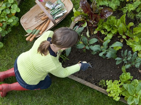 Skilled gardeners shaping a balanced garden in Stoke Newington