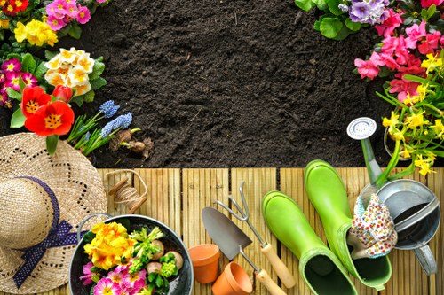 Professional garden clearance in a Stoke Newington backyard