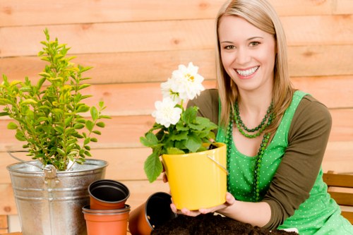 Clean patio and healthy lawn as part of Stoke Newington garden care