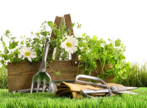 Annual review of modern slavery controls in Stoke Newington gardening