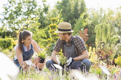 Seasonal garden care and planting support in Stoke Newington