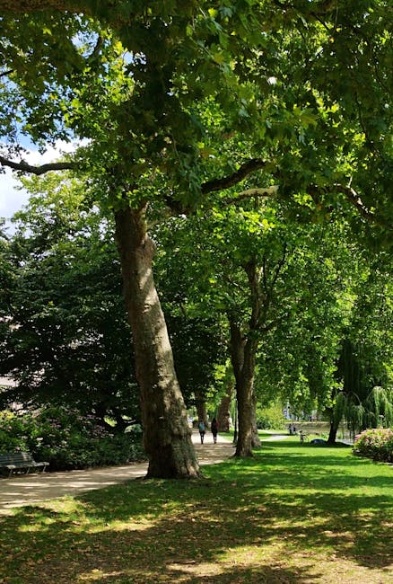 A peaceful park scene with tall, mature trees featuring thick trunks and lush green foliage providing ample shade over a well-maintained grassy area. The grass is neatly trimmed, exhibiting a vibrant 