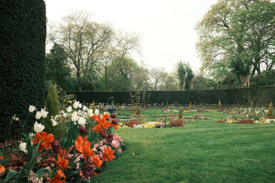 A peaceful park scene with tall, mature trees featuring thick trunks and lush green foliage providing ample shade over a well-maintained grassy area. The grass is neatly trimmed, exhibiting a vibrant 