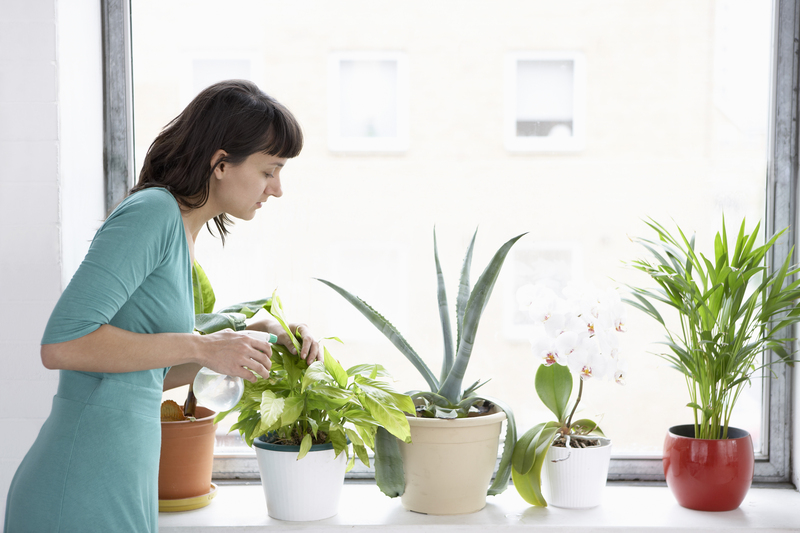 garden maintenance garden care